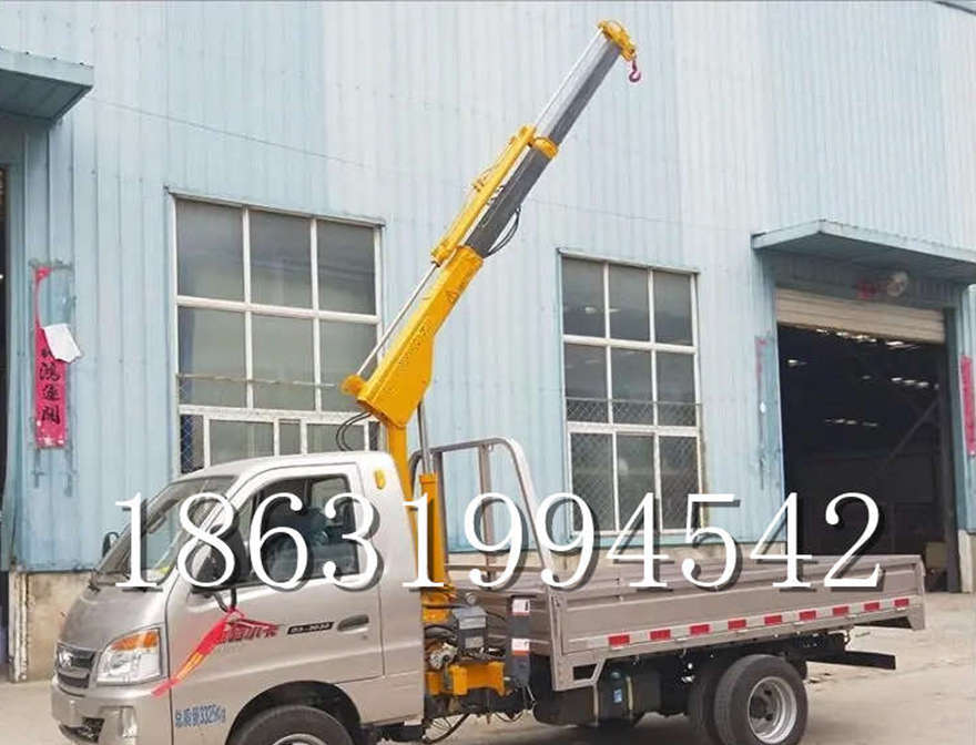 芬园乡车载吊机12/24V车载吊悬臂吊搬运包安装电动葫芦车载吊机轻卡
